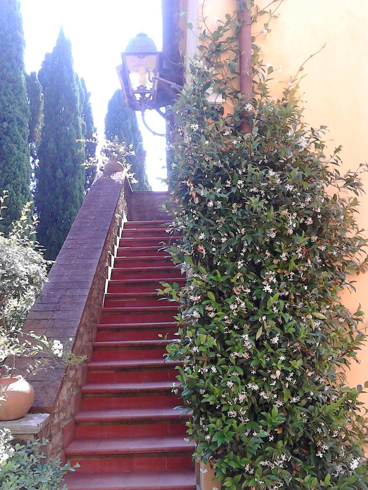 Tenuta La Bandita Sassetta Ngoại thất bức ảnh
