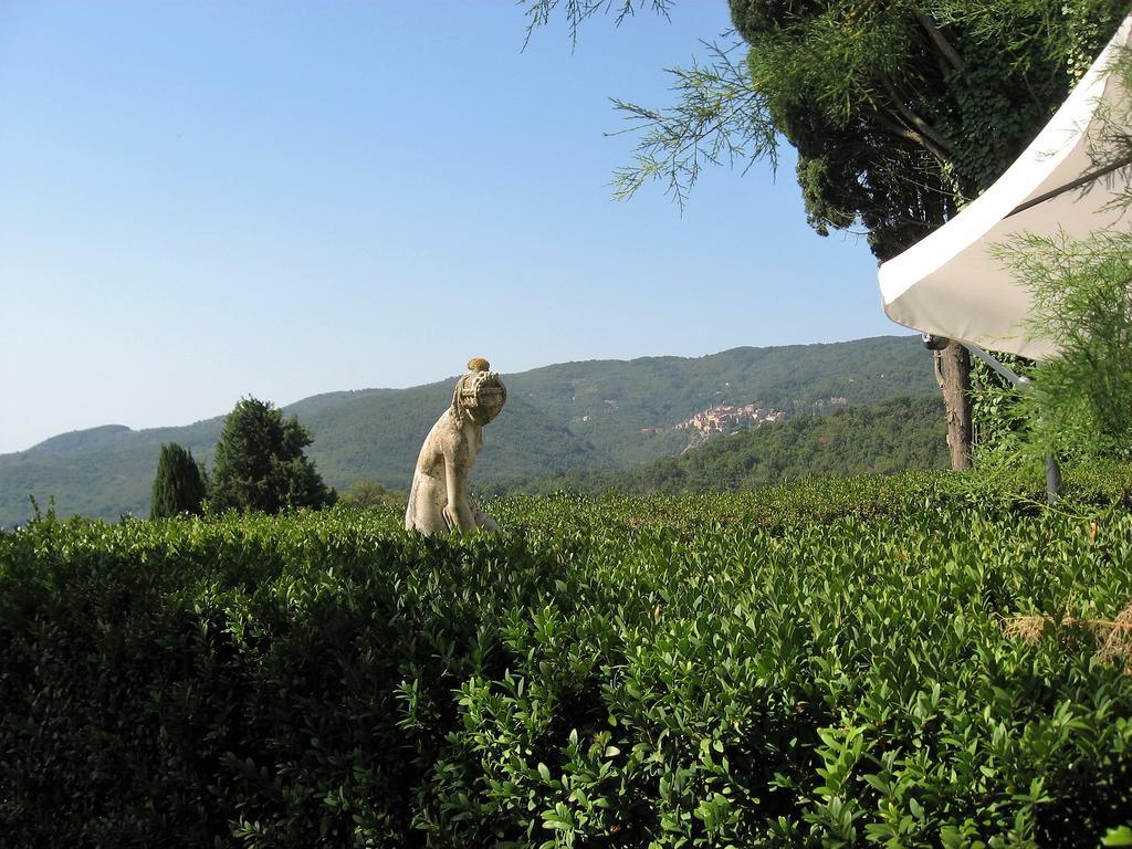 Tenuta La Bandita Sassetta Ngoại thất bức ảnh